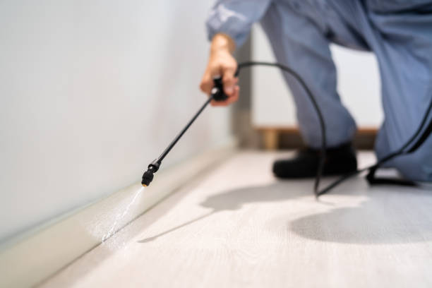 Licensed Pest Control service in New Orleans, LA - Show Me Pest Control