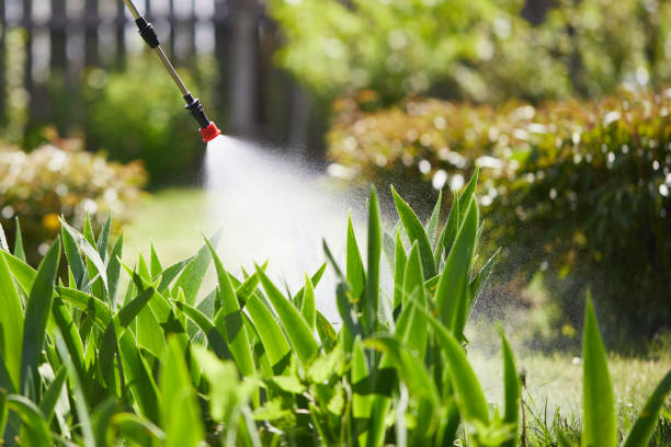 24/7 Emergency Wasp Removal experts in New Orleans, LA